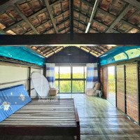 Cho Thuê Nhà Vườn Trên Đồi View Toàn Cảnh Tttp Nha Trang Cạnh Sông Tắc Không Khí Mát Mẻ
