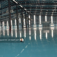 X1392. Cho Thuê Kho Xưởng Trong Kcn Hải Phòng 4,000M2 Có Tba 1.250Kva, Pccc Tự Động