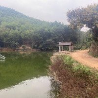Diện Tích 1584M2 - 400M2 Ont Tại Cao Sơn, Lương Sơn, Hòa Bình