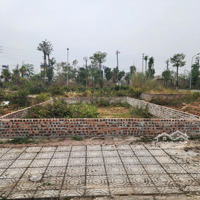 Em Bán 6 Lô Đất 46 Tới 65M2, Đất Dịch Vụ Vân Canh Và An Thọ, Đất Chọn Lọc, Giá Tốt Nhất Thị Trường