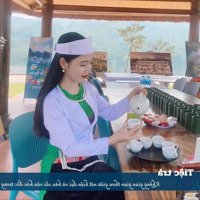 Shoshin Bình Thanh Khu Nghỉ Dưỡng Giữa Lòng Hồ Hoà Bình