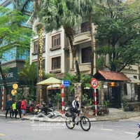 Cho Thuê Mặt Bằng Kinh Doanh Nhà Hàng, Cà Phê Trung Tâm Quận Ba Đình