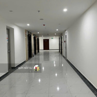 Chuyển Nhượng Căn Chung Cư 70M2 Tại 384 Lê Thánh Tông Giá Rẻ Hơn Của Chủ Đầu Tư 200 Triệu