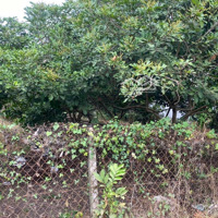 Cần Bán 166M2 Đất Thổ Cư Tại Bảo Hoà, Gần Sát Nhựa Mã Vôi - Bưng Cần, Gần Long Khánh