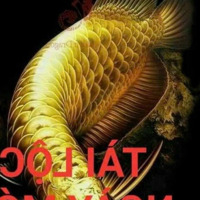 Bán Đất Dự Án Khu Đảo 1 Đường Ngô Huy Diễn Hoà Xuân Vị Trí Đẹp
