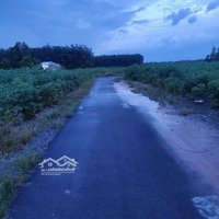 Bán Nhanh Đất Có Thổ Kp4 Hắc Dịch - Tp Phú Mỹ - Bà Rịa Vũng Tàu - Giá Tốt Nhất Khu Vực