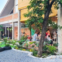 Cho Thuê Gấp Biệt Thự Ngang Lớn 20X30M, 38 Triệu Tại Dương Quảng Hàm, P5, Gò Vấp, Hcm