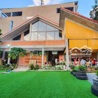 Cho Thuê Gấp Biệt Thự Ngang Lớn 20X30M, 38 Triệu Tại Dương Quảng Hàm, P5, Gò Vấp, Hcm