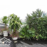 Bán Căn Hộ Chung Cư 100 M2,2 Pn, 2 Vệ Sinhtòa Chelsea Park ;0904 760 444