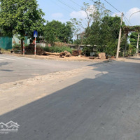 Bán Đất Tại Đấu Giá Kim Hoa, 50 Tr/M2, 100M2, Giá Ưu Đãi