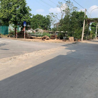 Bán Đất Tại Đấu Giá Kim Hoa, 50 Tr/M2, 100M2, Giá Ưu Đãi