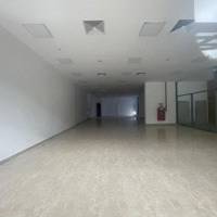 Cực Chất Cho Thuê Nhà Mặt Phố Xuân Thủy, Diện Tích 140M2,Mặt Tiềnx 7M Chỉ Có 65 Triệu/Th, Kd Được Mọi Thứ