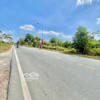 Bán Đất Tại Đường Phạm Thái Bường, Xã Phú Hữu, Nhơn Trạch, Đồng Nai, Giá Thỏa Thuận, 621M2, Đẹp