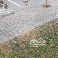 Mt 8X20M, Trần Bình Trọng Phường 3 Đông Hà Quảng Trị 0358626501