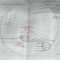 Chính Chủ Lô Đất Ngõ 56 Phạm Gia Mô, Chợ Hương
