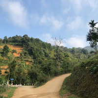 Xuất Kho Lô 1200M2 Có 993M2 Ont + Cln Tại Tú Sơn, Kim Bôi