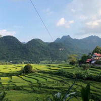 Xuất Kho Lô 1200M2 Có 993M2 Ont + Cln Tại Tú Sơn, Kim Bôi