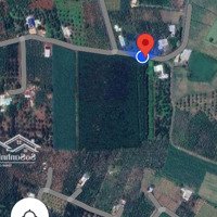 Bán Đất Xã Hòa Hiệp Diện Tích: 2400M2 ( 2 Sào 4) Đường Nhựa, Khu Dân Cư, Đầy Đủ Tiện Ích, Đang Trồng Tiêu