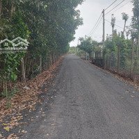 Bán Đất Xã Hòa Hiệp Diện Tích: 2400M2 ( 2 Sào 4) Đường Nhựa, Khu Dân Cư, Đầy Đủ Tiện Ích, Đang Trồng Tiêu