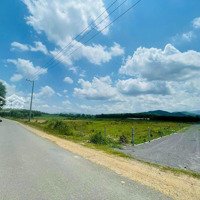 4000M2, Diên Đồng (Đồng Xuân) Hàng Chưa Qua Đầu Tư Giá Đầu Tư. Phù Hợp Nhiều Nhu Cầu