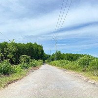 4000M2, Diên Đồng (Đồng Xuân) Hàng Chưa Qua Đầu Tư Giá Đầu Tư. Phù Hợp Nhiều Nhu Cầu