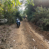 Cần Bán 7600M2 Bám Đường Đất 100M Cách Bê Tông 50M Tại Kim Sơn, Kim Bôi, Hòa Bình