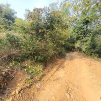 Cần Bán 7600M2 Bám Đường Đất 100M Cách Bê Tông 50M Tại Kim Sơn, Kim Bôi, Hòa Bình