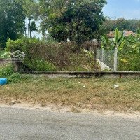 Kẹt Tiền Đầu Năm Bán Gấp Lô Đất Đường Suối Lội, Tân Thông Hội, Củ Chi, 132M2, Shr, 1,35 Tỷ