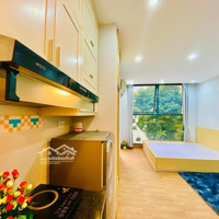 Tingtong 67 - Hàng Hiếm - Còn 1 Phòng Ở 125 Đại Linh - Ô Tô Đỗ Cửa - Cửa Sổ Thoáng