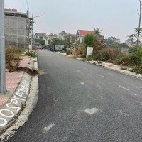 Siêu Phẩm Đẹp Nhất Đấu Giá Thị Trấn An Dương, Hải Phòng