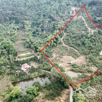 Chuyển Nhượng Mảnh Đất Có Diện Tích: 12.785M Tại Hoà Sơn Lương Sơn Hoà Bình