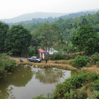 Chuyển Nhượng Mảnh Đất Có Diện Tích: 12.785M Tại Hoà Sơn Lương Sơn Hoà Bình