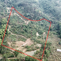 Chuyển Nhượng Mảnh Đất Có Diện Tích: 12.785M Tại Hoà Sơn Lương Sơn Hoà Bình