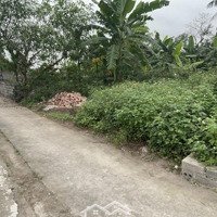 Đất Hòa Nghĩa, Dương Kinh, Hải Phòng Chưa Bao Giờ Hết Hot Lô Đất Ngay Đầu Ngõ 176 Hòa Nghĩa