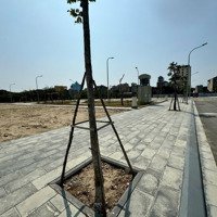 Sở Hữu Đất Nền Trung Tâm Từ Sơn - Chỉ Cách Đường Ninh Hiệp 1Km - Sẵn Sổ Đỏ