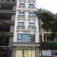 Siêu Đẹp - Cho Thuê Nhà Mặt Phố Trần Đại Nghĩa -Diện Tích: 65M X 8 Tầng -Mặt Tiền5M, Vị Trị Trung Tâm