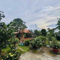 Bán Nhà Vườn 2 Sào Tại Xã Tân Bình, Vĩnh Cửu, Gần Ngã 4 Chợ Bến Cá, Cách Hương Lộ 9 Vào 100M