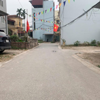 Chính Chủ Cần Bán Gấp Đất Đông Dư, Xã Bát Tràng, Gia Lâm Giá Rẻ Giật Mình