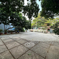 Cho Thuê Biệt Thự Sân Vườn 1000M2 Quận Bình Thạnh