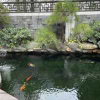 Cho Thuê Biệt Thự Sân Vườn Starlake 220M2, 5 Phòng Ngủ Bể Bơi, Bể Cá, Nội Thất Cao Cấp, Hướng Chính Nam.