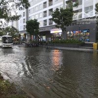 Bán Nhà Mặt Phố Đường Phạm Thận Duật, Cầu Giấy, Hà Nội, Giá Cực Chất 450 Triệu / M2, 110 M2