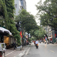 Bán Tòa Vp Kết Hợp Nhà Ở Vừa Kd Mặt Phố Khu Vực Nguyễn Thái Học - Tôn Đức Thắng. Chỉ 65 Tỷ