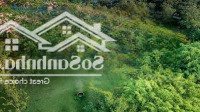 Bán Nhà Mặt Phố Tại Thanh Phú Trung Tâm Bến Lức - Long An Giá Bán 4,8 Tỷ, 100M2. Liên Hệ: 0908919996