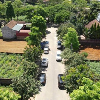 Hàng Siêu Vip !!! 60M Đất Tái Định Cư Sát Khu Công Nghệ Cao Hoà Lạc , Đường 8M Mà Giá Chỉ Hơn 1 Tỷ
