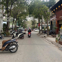 Cho Thuê Nhà Vũ Phạm Hàm, Cầu Giấy, Hà Nội. Diện Tích: 100M2 X 5 Tầng, Mt: 5,5 Mét