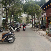 Cho Thuê Nhà Vũ Phạm Hàm, Cầu Giấy, Hà Nội. Diện Tích: 100M2 X 5 Tầng, Mt: 5,5 Mét