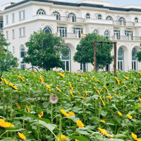 Nhà Phố Mẫu Mới Khu Vip Sunlake Phù Hợp Văn Phòng + Ởdiện Tích7X23M, Hầm 4 Tầng Thang Máy, Máy Lạnh