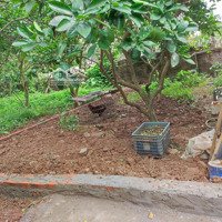 Bán Hiếm Có Khó Tìm Giá Nhỉnh 1.5 Tỷ Tại Tráng Việt, Mê Linh, Hà Nội