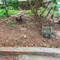 Bán Hiếm Có Khó Tìm Giá Nhỉnh 1.5 Tỷ Tại Tráng Việt, Mê Linh, Hà Nội