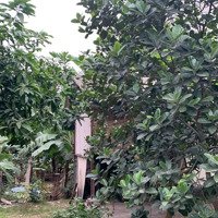 Hải Bối - Đông Anh- Full Thổ Cư -161M